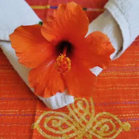 Casa 115 칼라오살바헤