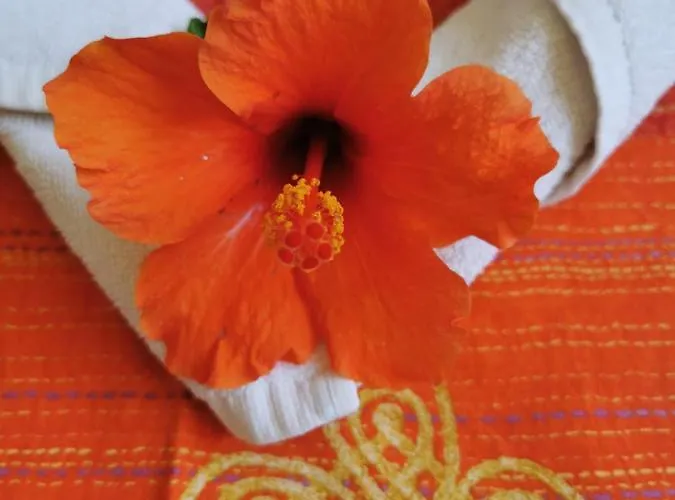 Casa 115 Callao Salvaje